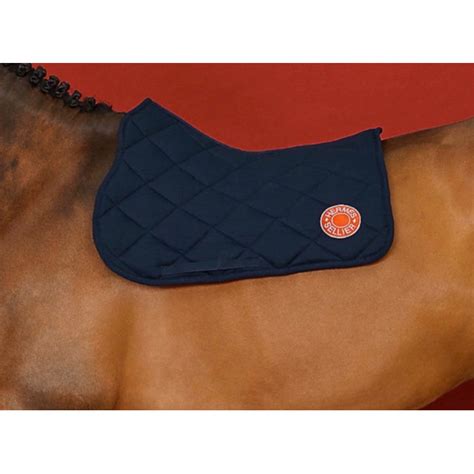 tapis d'équitation hermes|TAPIS DE SELLE MIXTE JUMP HERMES .